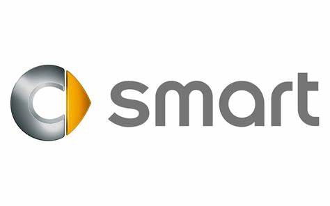 All Smart Car Acrylic or Basecoat 1K Touch Up Aerosol Paints 300 Grams
